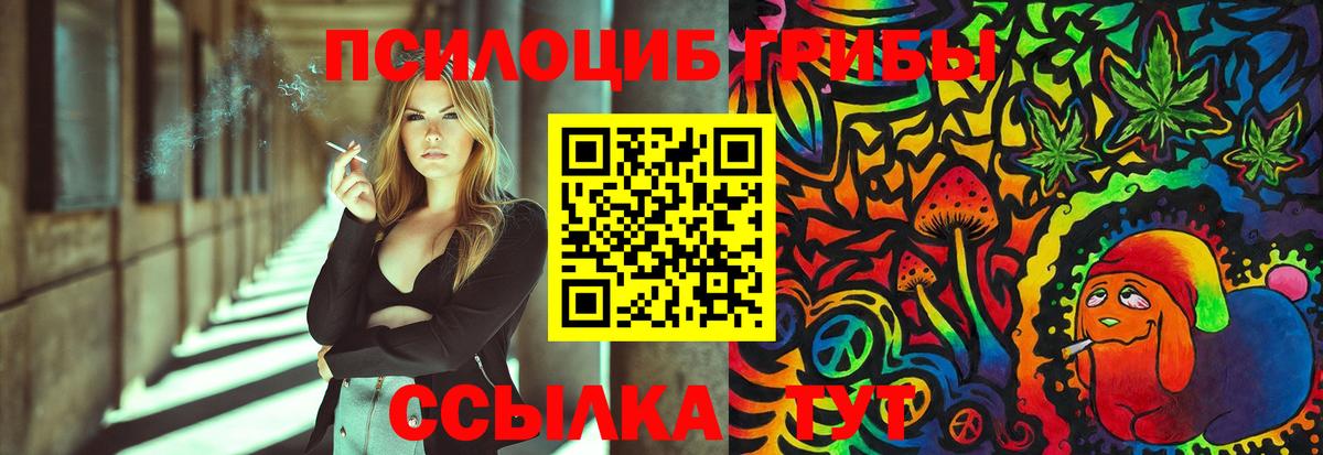 Кольчугино  Псилоцибиновые грибы Cubensis  Вход с VPN 