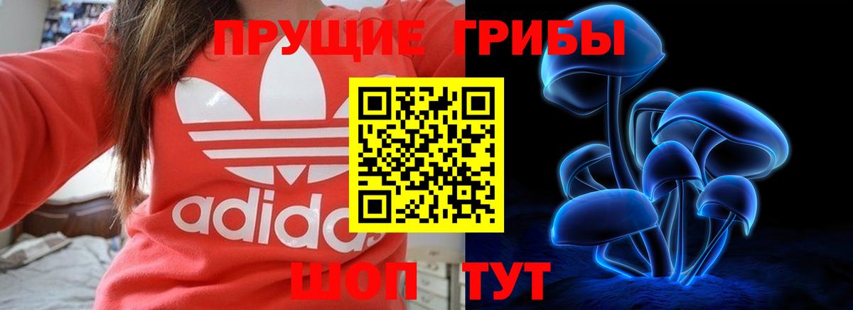 Псилоцибиновые грибы Psilocybe Кольчугино